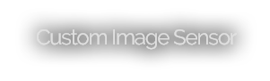 Custom CMOS Image Sensor